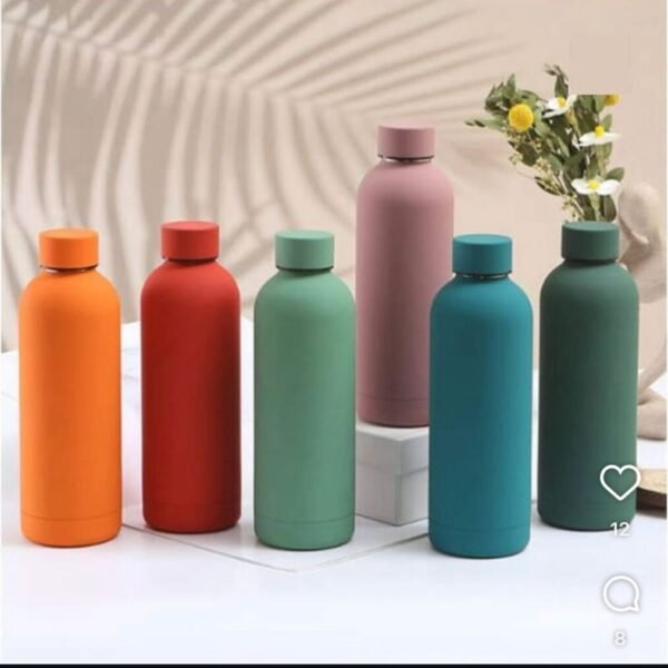 Matte Stainless Steel Bottles